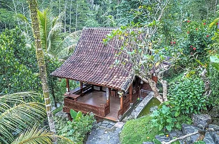 Hotel Yoga Maya